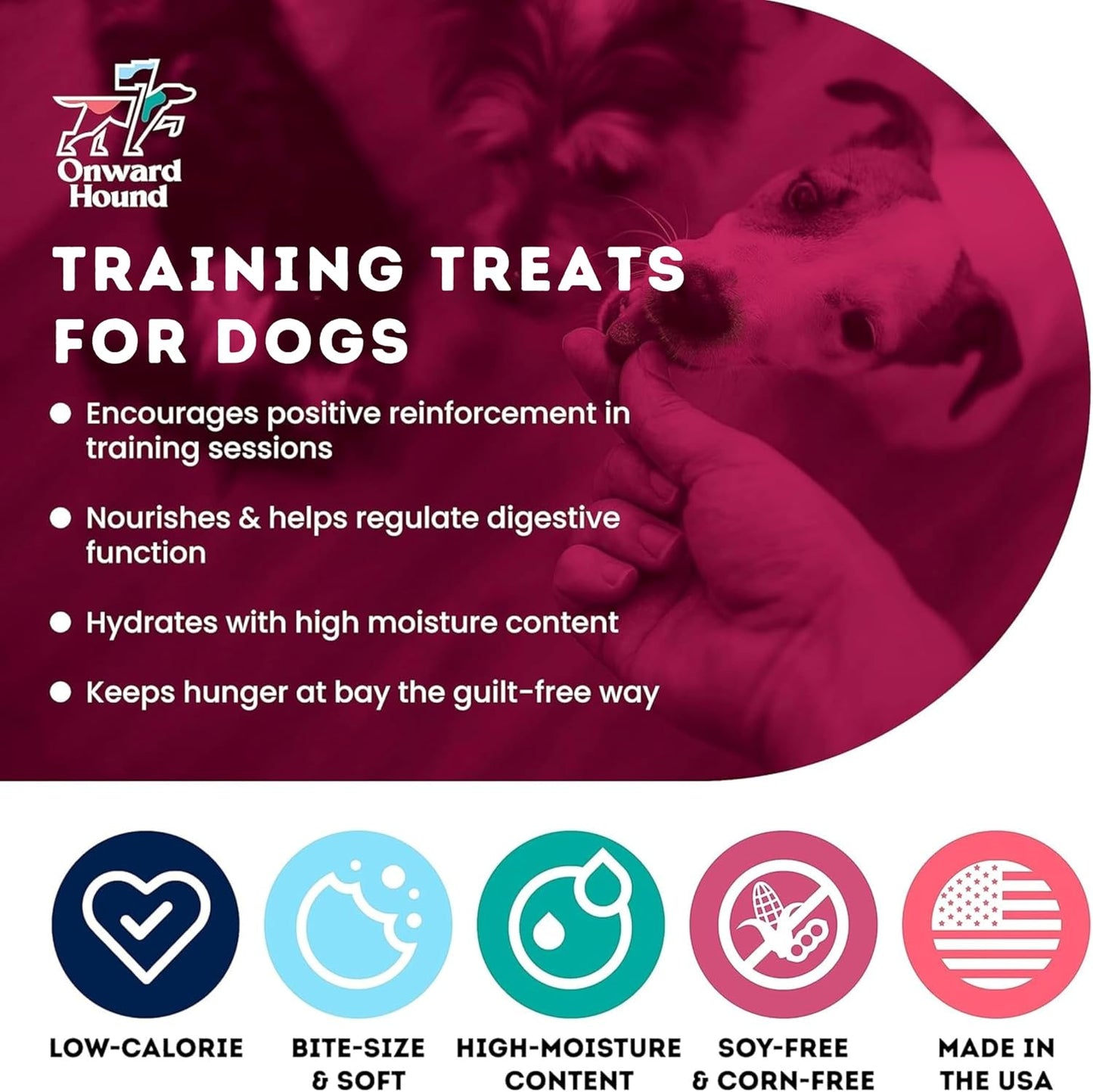 Onward Hound Training Treats for Dogs - Soft Salmon - Low Calorie Dog Training Treats for Sensitive Stomachs with Single Source Premium Protein, Corn Free, & Soy Free Formula - 4 oz