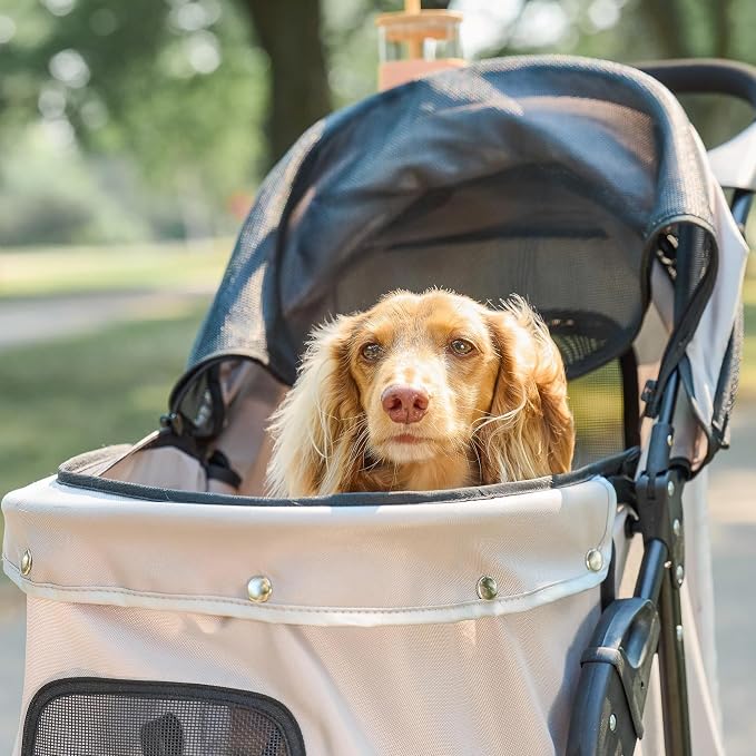 Carlson Pet Products Stroller, Includes 360 Degree Front Wheel Swivel, Rear Wheel Breaks, Reflective Trim, Mesh Panels, Umbrella and Mesh Canopy, Khaki
