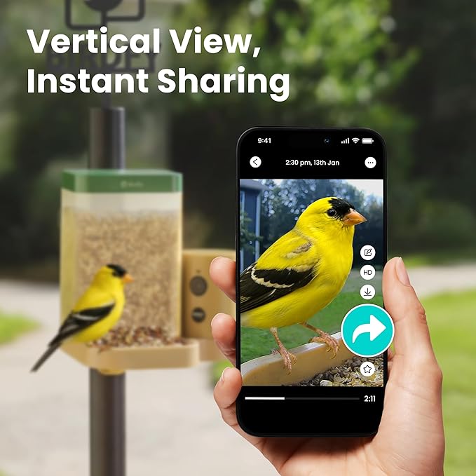 Birdfy Smart Bird Feeder with Camera for Rookie, Camera Bird Feeder Dual Night Vision, AI Recognition IP66 Waterproof for BirdLovers, 1.3L Capacity (AI by Subscription)