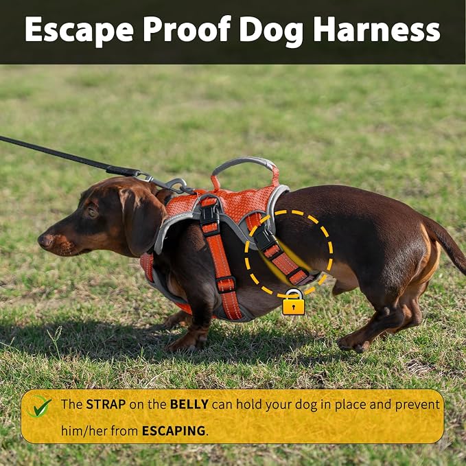 Escape Proof Dog Harness, Dachshund Harness, Reflective Dog Harness with Handle, Durable,Adjustable Vest for Small Medium Large Dogs Walking, Training, and Running Gear (Orange,S)