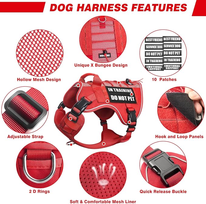 Service Dog in Training Mesh Harness with 10 Removale Pet Patches | Breathable material, adjustable straps, reflective trim, lightweight but durable, great for training, walks, and outings