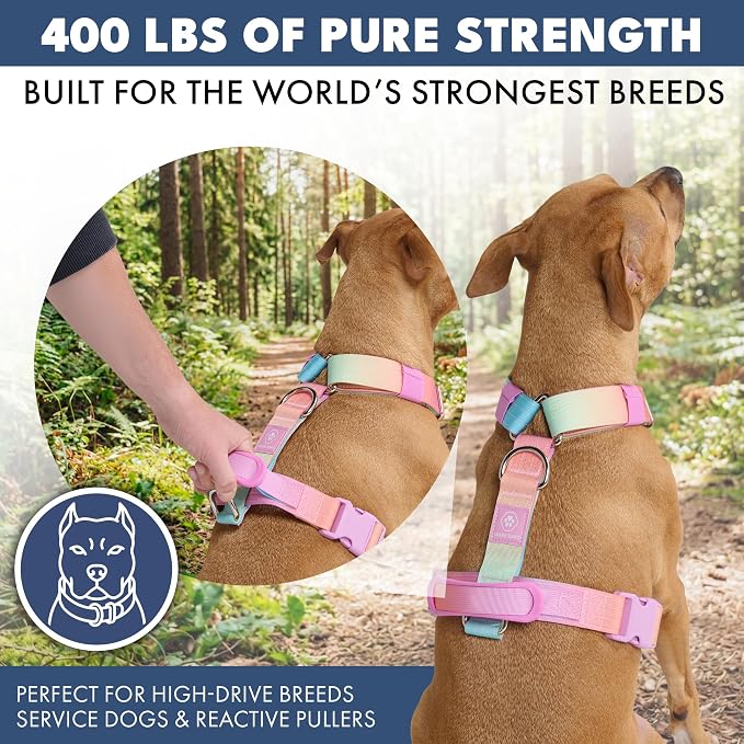 Spark Paws Comfort Control No Pull Dog Harness - Heavy Duty Front Clip | Safety Tested for Strong Breeds, w/ Metal Buckle & Top Handle – Padded Y-Straps Redirect Pulling. Solo or Matching Leash Set