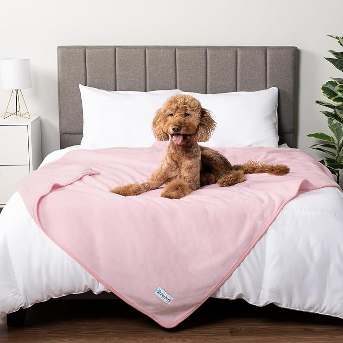 PetAmi Waterproof & Pee Proof Dog & Cat Blanket - Reversible, Soft, Washable - Medium/Large Dogs & Puppies - 60x80 Pink