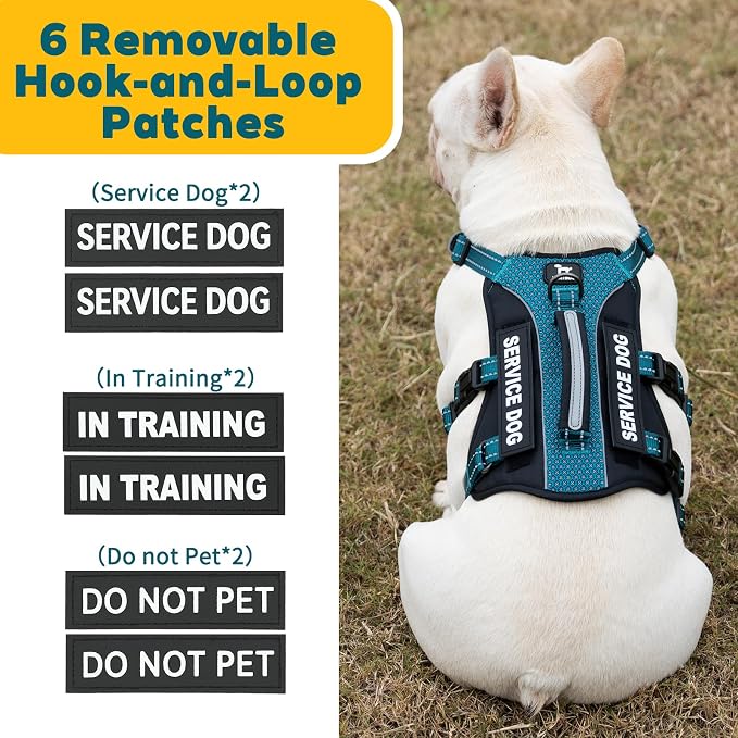 Service Dog Vest Harness, Escape Proof Harness with 6 Patches, No-Pull, Reflective Harness with Handle, Adjustable for Small to Large Dogs, for Training and Hiking (Teal, M)
