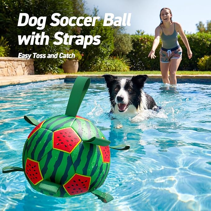 QDAN Dog Water Toys, Pool Toys for Dogs Swimming Beach Fun, Watermelon Ball for Summer Outdoor Games (7 inch)