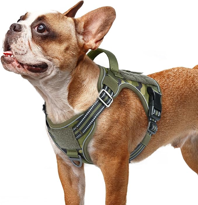 rabbitgoo Tactical Dog Harness for Small Dogs, No Pull Service Pet Vest | Military Molle System & Easy Control Handle, Adjustable and Reflective for Walking and Training, Green Camo, Small