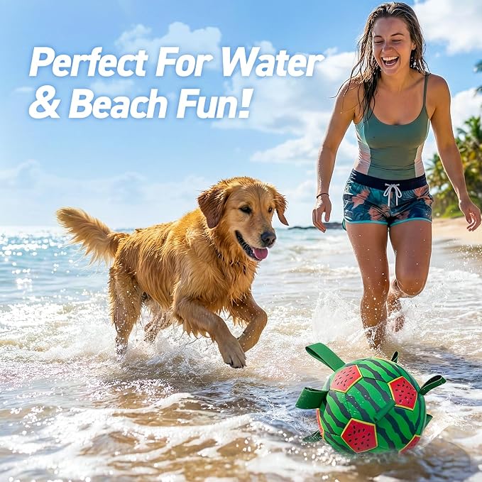QDAN Dog Water Toys, Pool Toys for Dogs Swimming Beach Fun, Watermelon Ball for Summer Outdoor Games (7 inch)