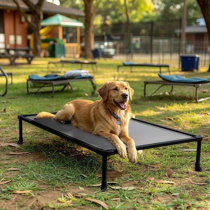 Veehoo Chew Proof Elevated Dog Bed, Indestructible Raised Dog Bed for Aggressive Chewers, Waterproof Dogs Training Platform for Indoor or Outdoor Use, 41 x27 inches, Grey