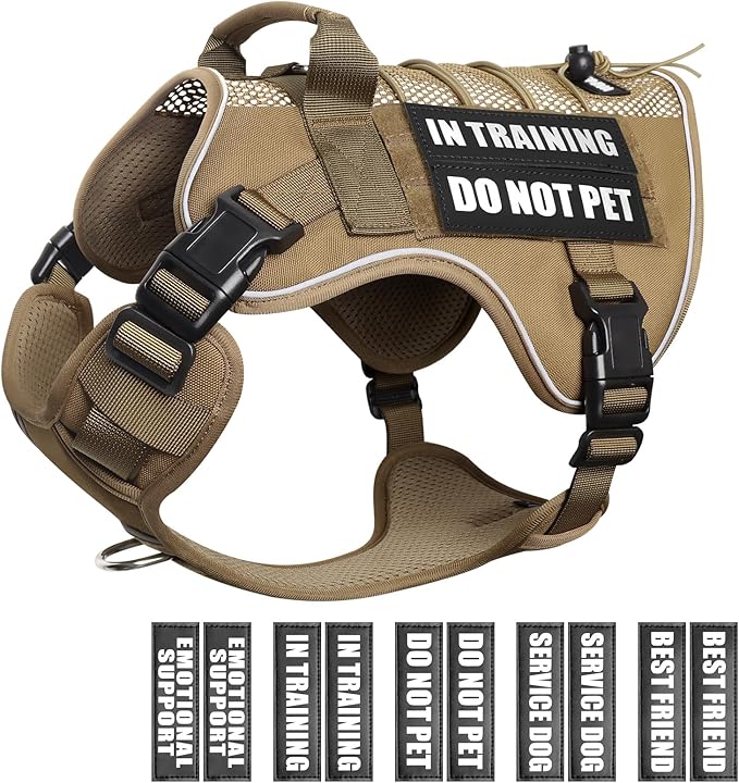 Service Dog in Training Mesh Harness with 10 Removale Pet Patches | Breathable material, adjustable straps, reflective trim, lightweight but durable, great for training, walks, and outings