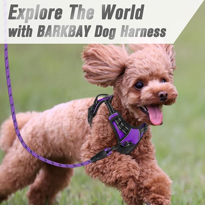 BARKBAY Dog Harness No Pull for Small Sized Dog Front Back Clips,Dog Vest | Soft Padded No Choke With Handle,Easy On&Off,Adjustable Reflective For Walking Training Running(Purple,XS)