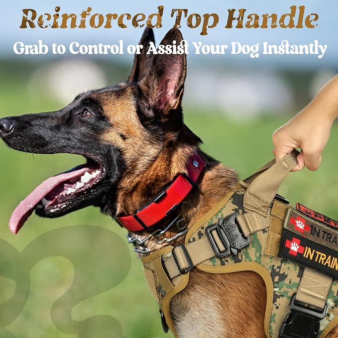 rabbitgoo Tactical Dog Harness for Small, Heavy Duty Military No Pull Vest | Sturdy Metal Buckles, 5 Adjustments, Molle System, Powerful Pullers for Training, Hunting, Outdoor, Brown Camo, Small