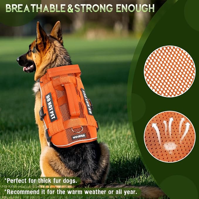 Tactical Molle Vest Mesh Dog Harness with 10 Removale Pet Patches | Breathable Service Dog harness with Double Soft Padded Handle for Small Dog, Reflective Military Pet Vest for Walk Hiking