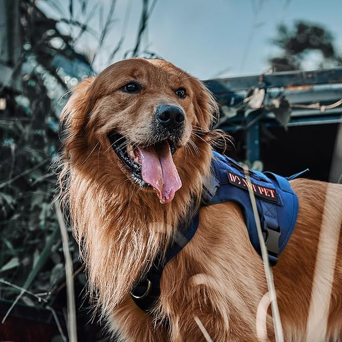 OneTigris Tactical Dog Harness No-Pull Service Vest for Medium Large Dogs | Military 1000D Pullable Nylon, Service Dog Vest with Hook & Loop Panels, Easy On & Off for Walking Hiking Training Brown M