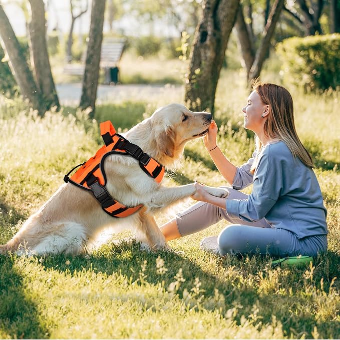 WINGOIN Orange Tactical Dog Harness for Small Dogs,No Pull Dog Harness | Heavy Duty with Handle,Adjustable Reflective,Military K9 Body Pet Vest,for French Bull Pugdog,for Walking Training Running