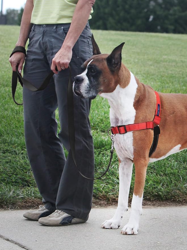 Petsafe Deluxe Easy Walk Harness, Large, Rose Pink, EWH-D-HC-L-RSE | Padded Neoprene Straps, Reflective Strips for Night Safety, Martingale Loop Curbs Pulling from the Chest, Not the Throat