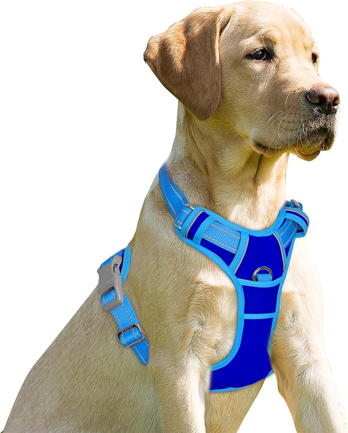 BARKBAY Dog Harness No Pull for Medium Sized Dog Front Back Clips,Dog Vest | Soft Padded No Choke With Handle,Easy On&Off,Adjustable Reflective For Walking Training Running(Sapphire Blue & Blue,M)