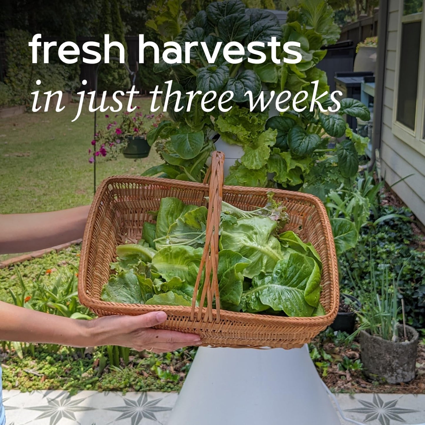 Farmstand Starter Kit + 24 Seedling Credit | Medium Hydroponic Growing System Kit | Self-Watering Outdoor Vertical Garden Planter Tower | 4ft 10in | Made in USA