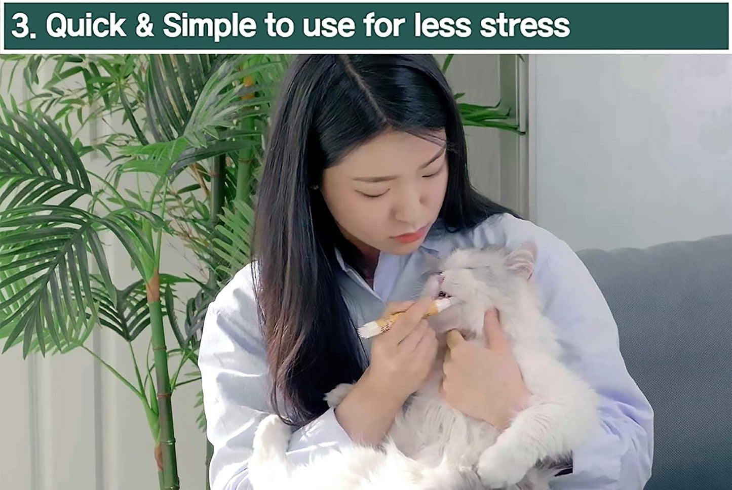 Cat Toothbrush & Toothpaste Kit – Flavor-Free Dental Gel for Cats – Finger Brush & Handle for Daily Oral Care – Plaque & Tartar Cleaning for Kittens and Adult Cats (1 Count, 1 Pack)