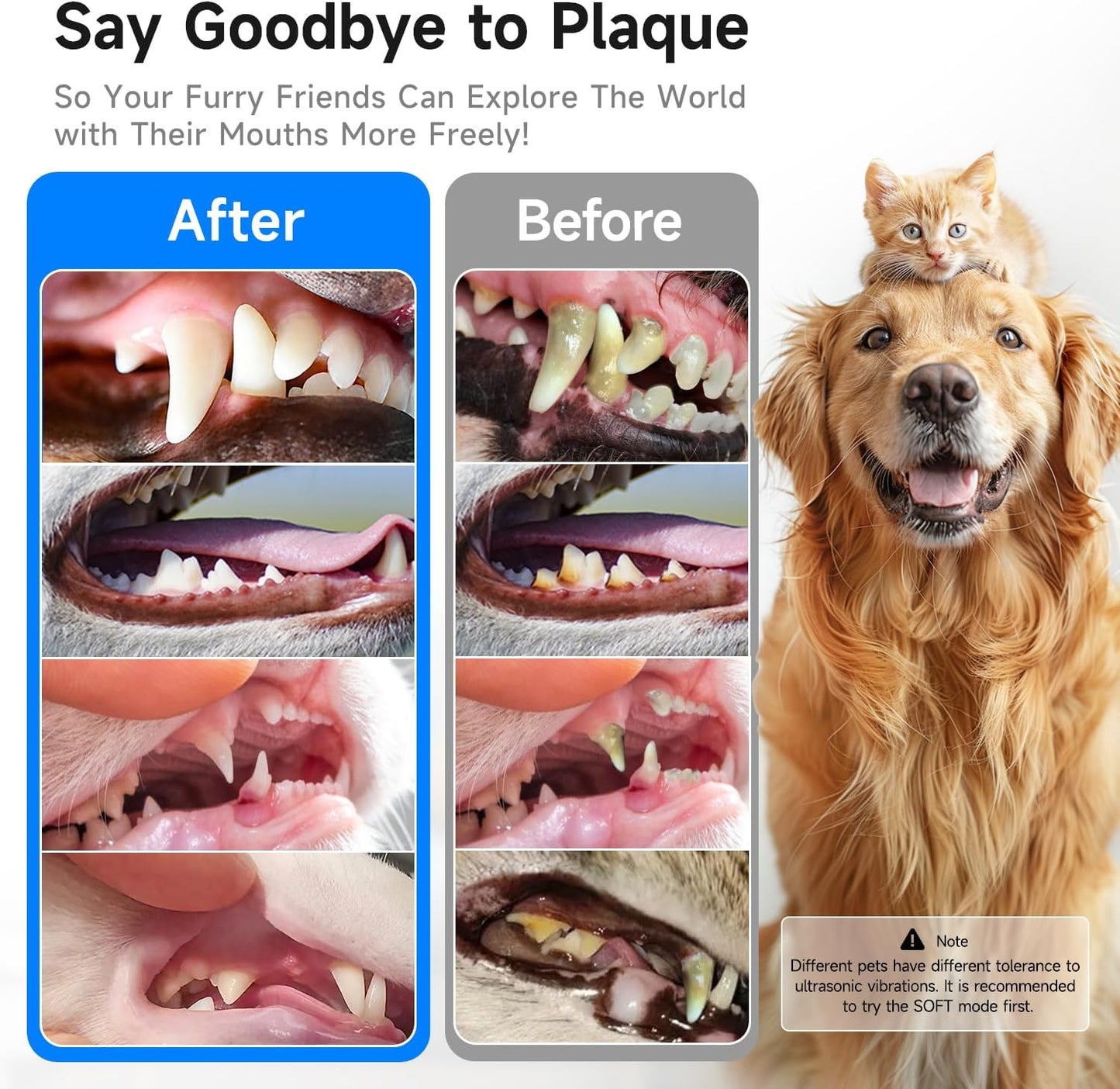 Electric Dog Plaque & Tartar Remover - Pet Teeth Cleaning Kit with LED Light, 5 Adjustable Modes, Safe and Low Noise – Easy Home Dental Care for Dogs and Cats