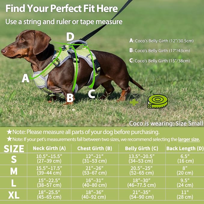 Escape Proof Dog Harness, Dachshund Harness, Reflective Dog Harness with Handle, Durable,Adjustable Vest for Small Medium Large Dogs Walking, Training, and Running Gear (Green,M)