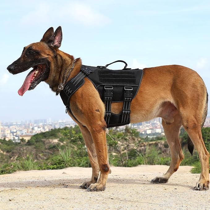 ICEFANG Tactical Mesh Dog Harness for Large Dogs,Reflective Dog Molle Vest | Summer-Cooling, Control Handle,Adjustable,Front Hook,3 Leash Clips,Soft Padded,No Pull,Black,Large