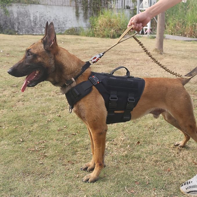 ICEFANG No Pull Tactical Dog Harness for X-Large Dogs,Adjustable Dog Vest | Control Handle,MOLLE Panel,Front Hook,3 Leash Clips,Soft Padded,for walking training,Black,X-Large