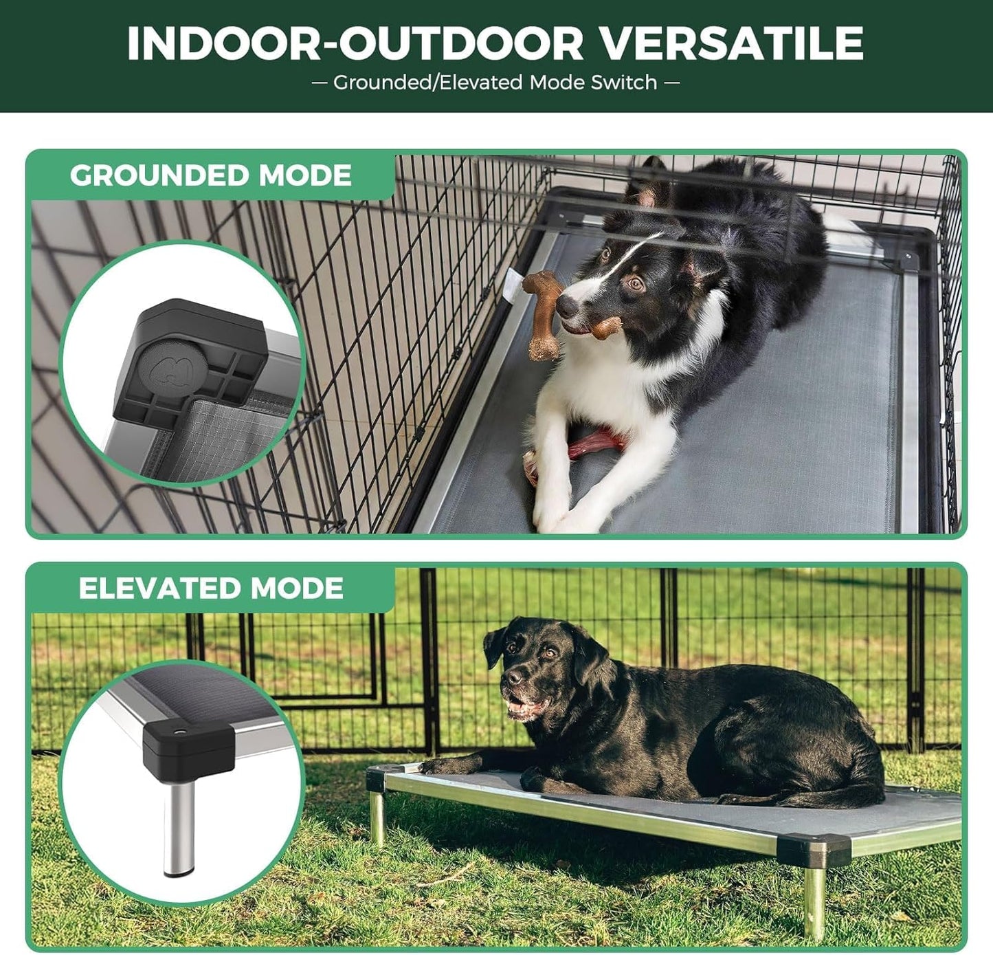 FXW TitanNest Chew-Proof Elevated Dog Bed, Raised Cot for Indoor/Outdoor/Camping Use, Durable & Washable Padded Pet Bed for Small Dogs, 35.0" L x 22.0" W x 4.5" H, Black