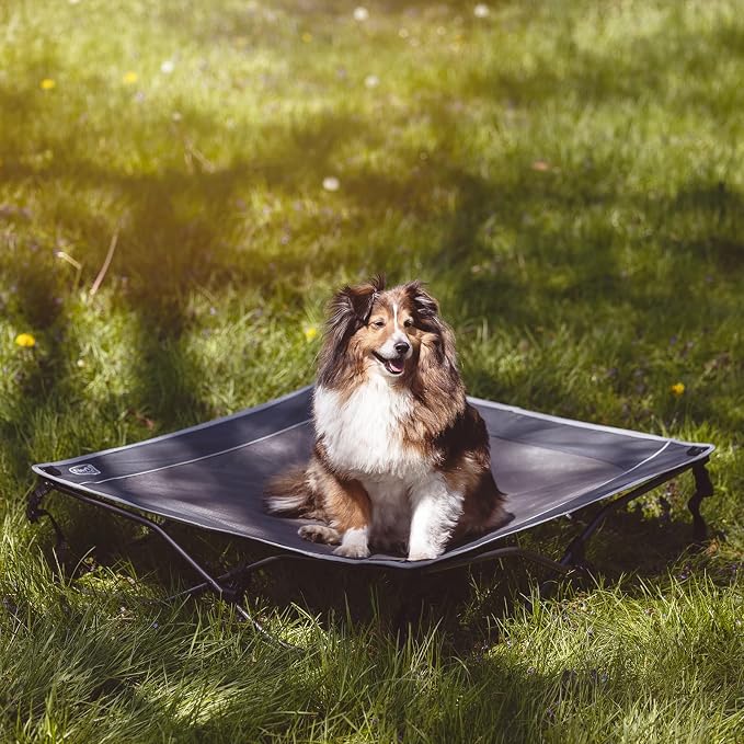 TIMBER RIDGE Outdoor Dog Bed, Cooling Elevated Pet Bed Portable Raised Dog Bed with Breathable Mesh, Dog Bed Foldable Dog Cot for Indoor & Outside, Grey