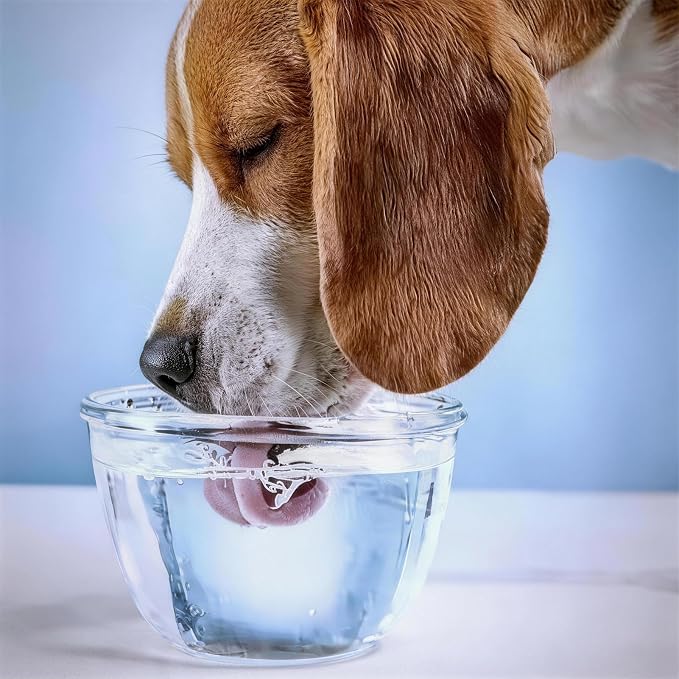 Automatic Dog Water Dispenser 2 Gallons, 304 Stainless Steel Dog Water Bowl for Indoor/Outdoor, Large Water Bowl for Pets & Livestock, Anti Tip, Wide Mouth, Water Auto Fill, Fit GHT 3/4" Faucet