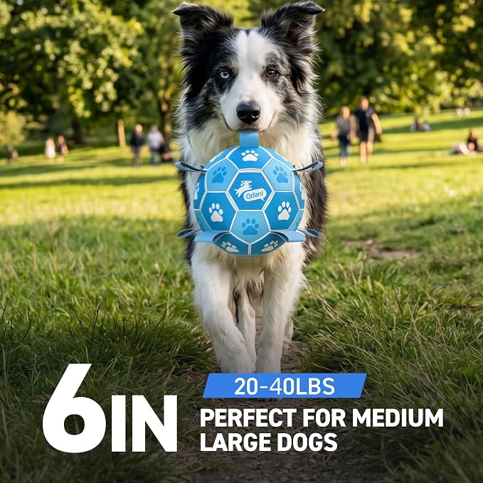 QDAN Dog Toy Balls, World Cup Balls for Dogs, Soccer Ball for Dogs with Straps, Outdoor Dog Toys for Medium (6 Inch)