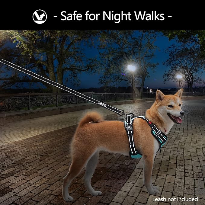 PoyPet No Pull Dog Harness Medium with Front Clip & Neck Release Buckle | No Choke, Adjustable Vest, Reflective, Back Clip, Lockable, Soft Padded Handle for Walking Training, M, Mint Blue