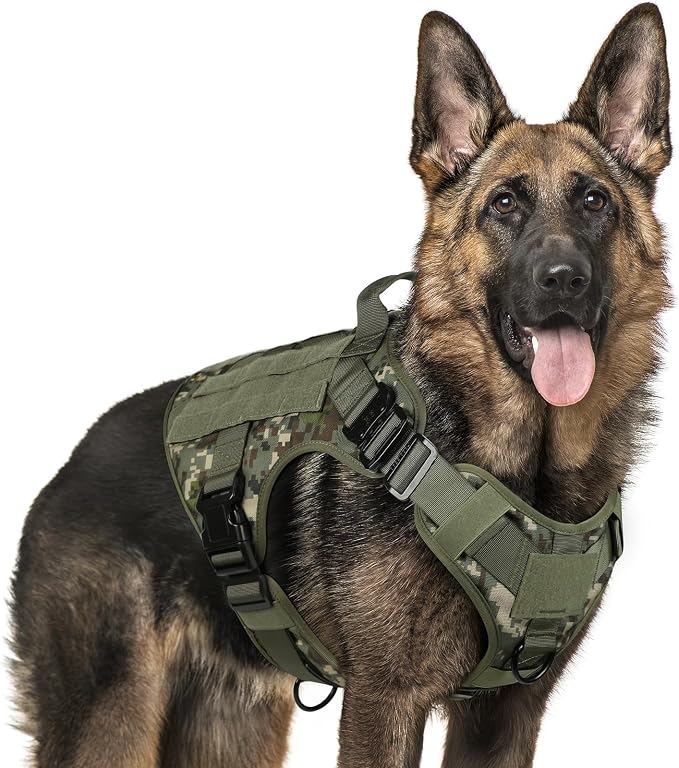 rabbitgoo Tactical Dog Harness X-Large, Heavy Duty Military No Pull Vest | Sturdy Metal Buckles, 5 Adjustments, Molle System, Powerful Pullers for Training, Hunting, Outdoor, Green Camo, X-Large