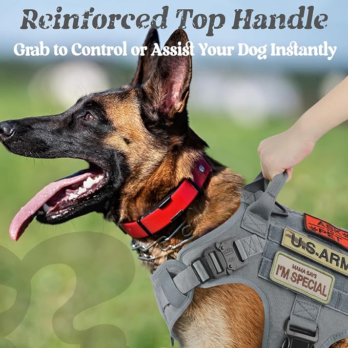 rabbitgoo Tactical Dog Harness for Medium, Heavy Duty Military No Pull Vest | Sturdy Metal Buckles, 5 Adjustments, Molle System, Powerful Pullers for Training, Hunting, Outdoor, Grey, Medium