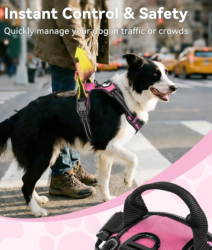 Joytale No Pull Dog Harness Medium Sized Dog, Front Clip, Pink | Grab Handle for Instant Control, Padded & Adjustable Vest, Sturdy Metal D-Rings, for Safe Training & Daily Walking