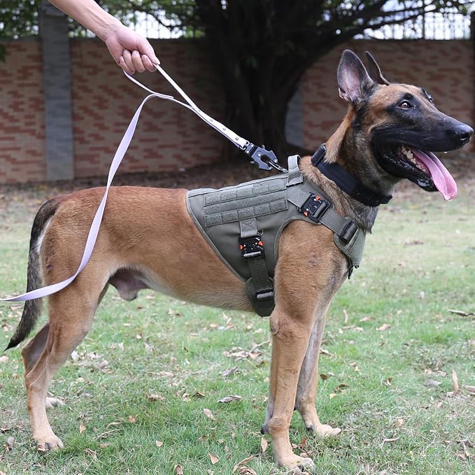 ICEFANG Tactical Dog Harness for Large Dogs,Full Metal Buckles Dog Vest | with MOLLE, Reflective,Adjustable,2 Leash Clips,Control Handle,No Pull,Soft Padded,Green,Large