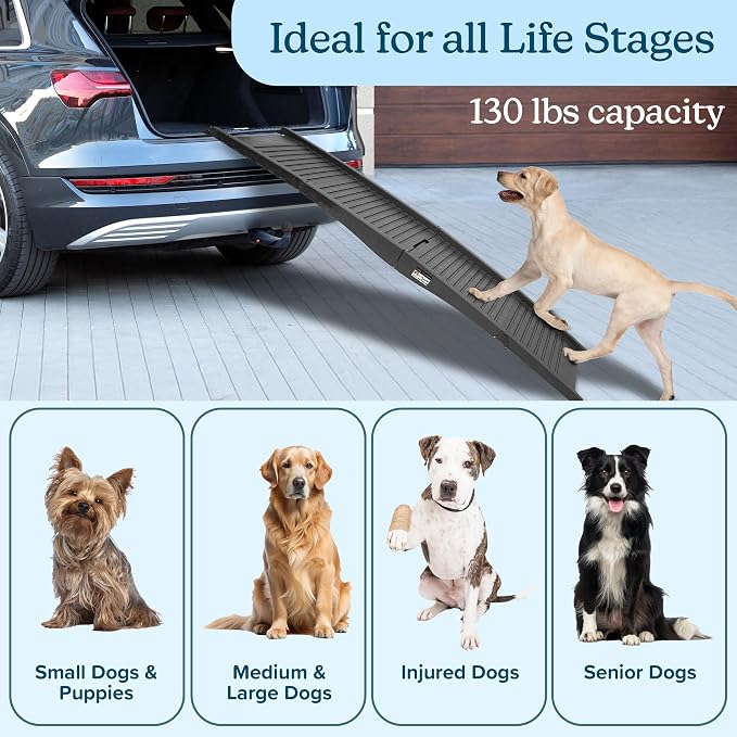 Nonslip Dog Ramp - 60-Inch Tri-Fold Incline with Raised Sides for Pets - Portable Ramps for Dogs to Get into a Car, Truck, SUV or Home by PETMAKER