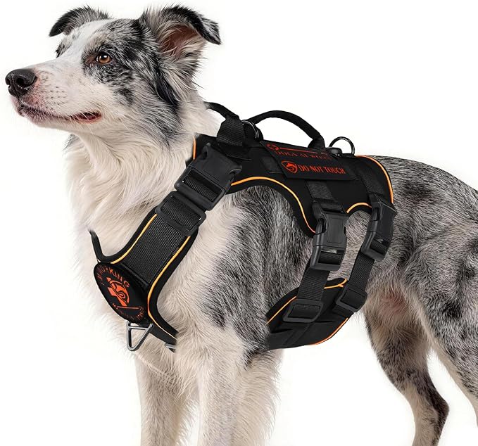 Reflective Tactical Dog Harness with AirTag Holder&3 Pet Patches, Black M | Heavy Duty No Pull Dog Harness, Adjustable Dog Harness, Two Handles, Breathable Mesh Padding, Resists Dirt and Stay Clean