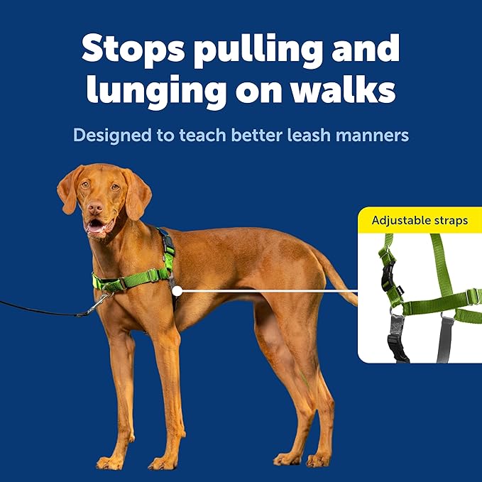 PetSafe Easy Walk Harness, No Pull Dog Harness, Apple Green, Medium | Patented Martingale Loop Gives Gradual Shoulder Pressure to Stop Pulling, Front-Chest Leash Clip Prevents Gagging