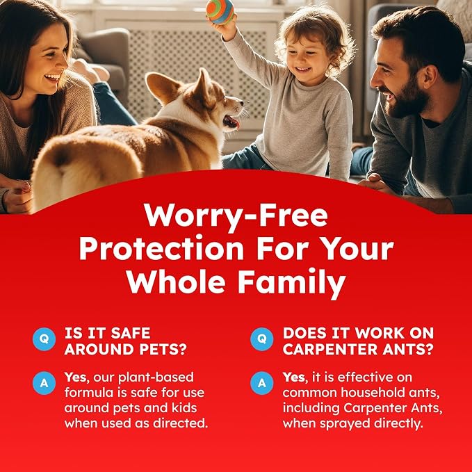 BugMD Pet Safe Ant Killer & Ants Spray Indoor Outdoor | Natural Plant-Based Ant Repellent that Kills on Contact with a Fresh Scent
