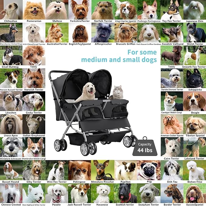 Double Pet Stroller for 2 Dogs & Cats, Side-by-Side, Black | Foldable Two-Seater with Separate Cabins, 44 lb Capacity, Dual Baskets and Safety Tethers for Walks, Travel and Vet Visits