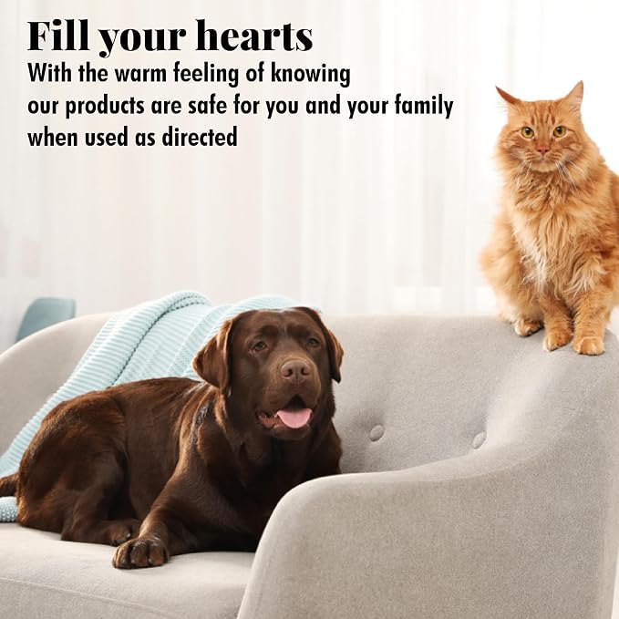 Citrus Magic Pet Solid Air Freshener, Pet Odor Eliminator for Home, Odor Absorber for Dog & Cat Areas and Litter Boxes, Fresh Citrus, 20 Ounces (Pack of 6)