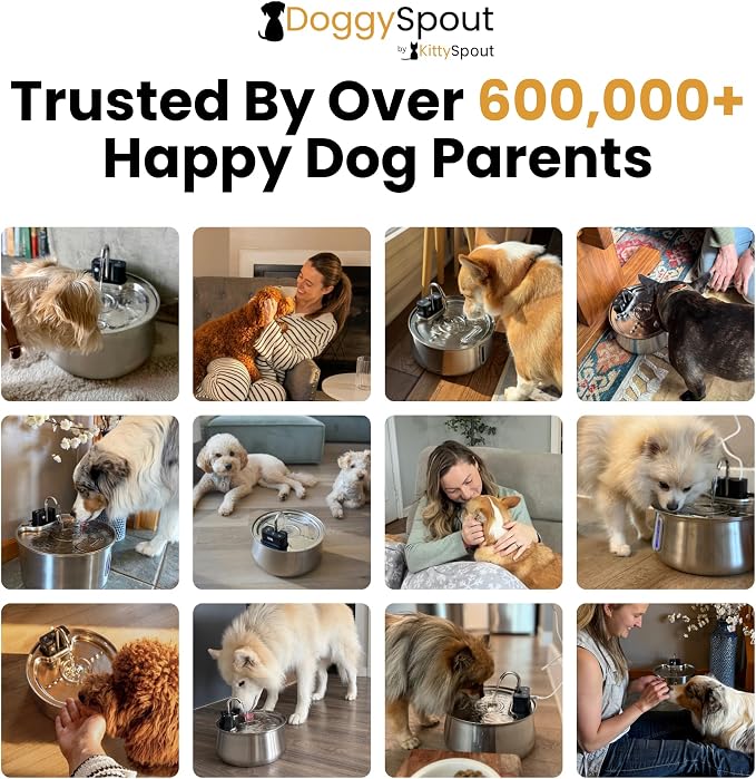 Wireless Dog Water Fountain, Large 7L (236oz) Stainless Steel Pet Water Fountain for Large Dogs and Multi-Pet Homes, Ultra Quiet Automatic Fountain with 3-Layer Filtration