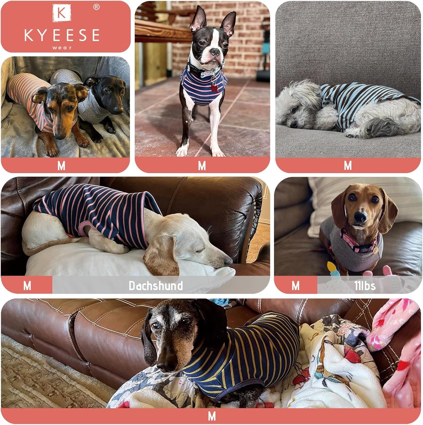 KYEESE 2Pack Dog Sweater Turtleneck Small Pets Sweaters Pullover Pet Sweatshirt Stretchy Dogs Clothes Soft Dachshund Clothes Warm Pet Coats Dog Sweaters for Small Dogs Male