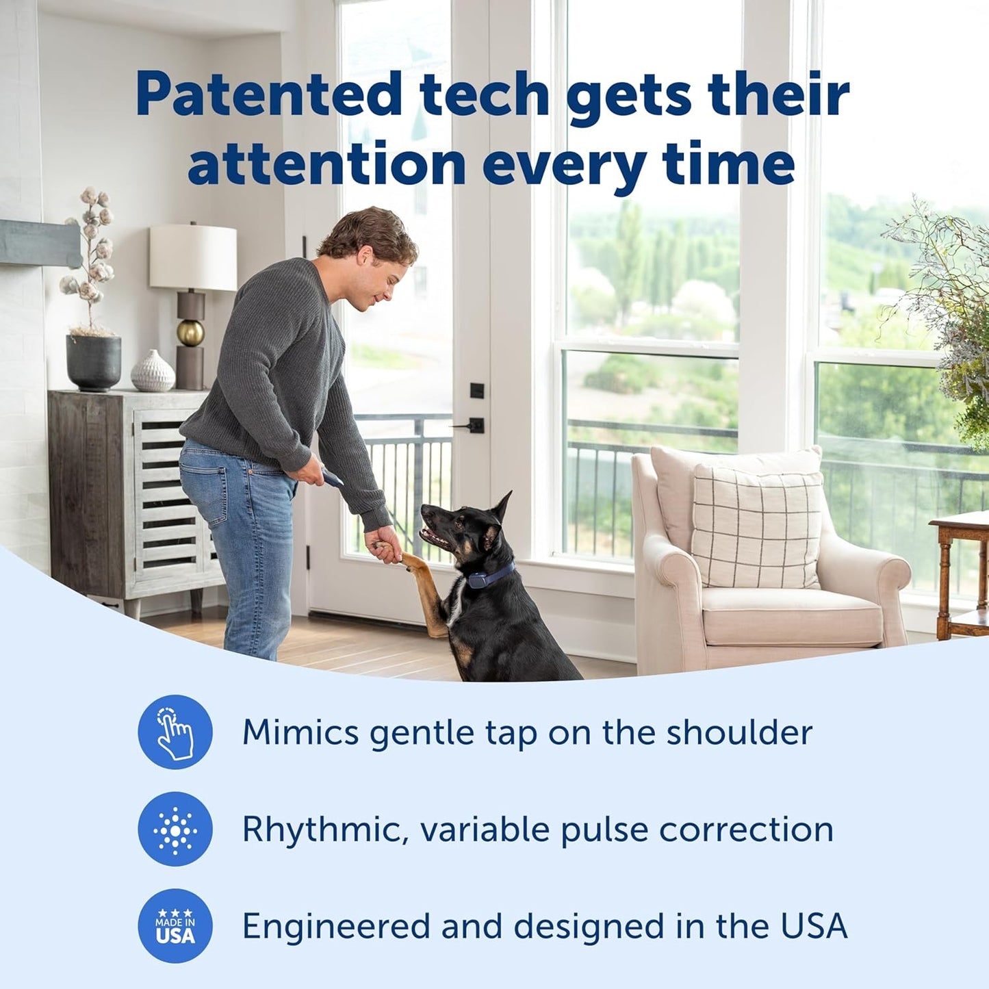 PetSafe Basic Dog Trainer with Remote – Waterproof Training Collar – 300 ft Range – Tone, Vibration and Eight Levels of Static