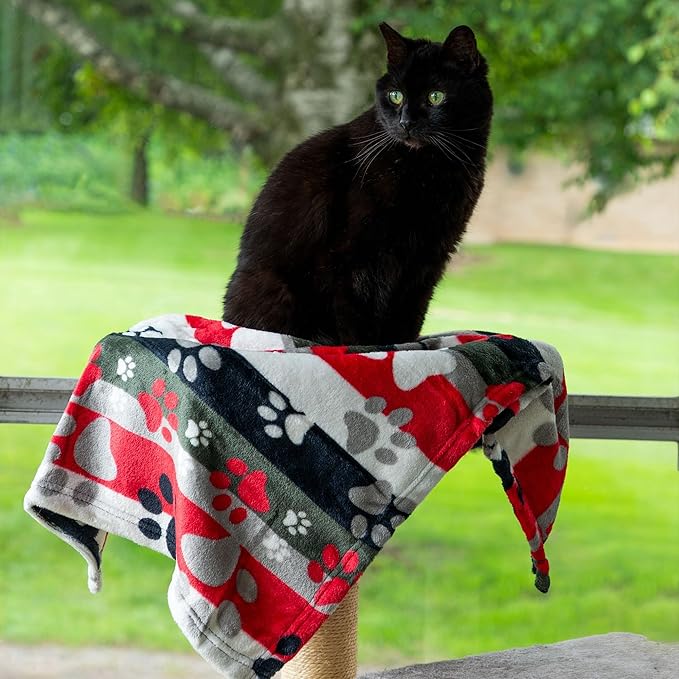 Pet Dog Cat Blanket Ultra Soft Cozy Fleece Paw Print Design Machine Washable Durable for Crates Beds Sofas Travel (Argyle Paws, Medium)