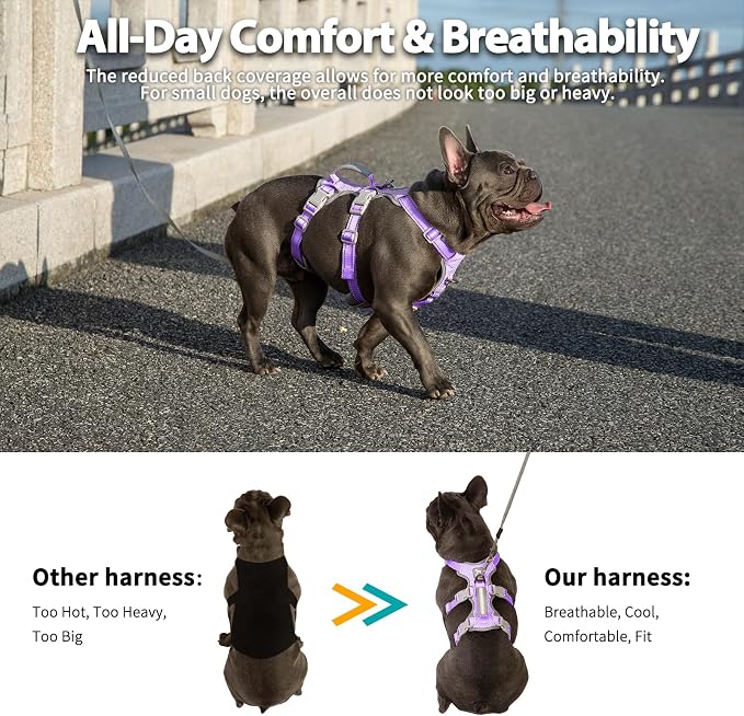 Escape Proof Dog Harness, No Pull Reflective Harness with Lift Handle,Adjustable Pet Vest with Front and Back Leash Clips for Small Medium Large Dogs Walking Hiking Training(Lavender Purple,L)