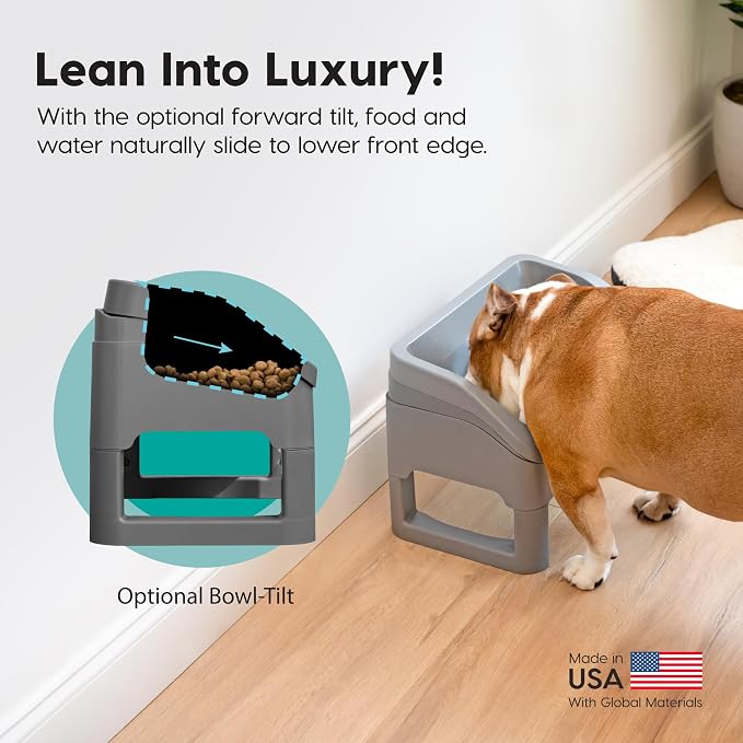 IRIS USA Elevated Pet Feeding Station, Adjustable, Double Bowls, Gray | Made in USA, Feeding Trough, Removable Double Food and Water Bowls, Easy Clean Design, Indoor Pet Feeding System