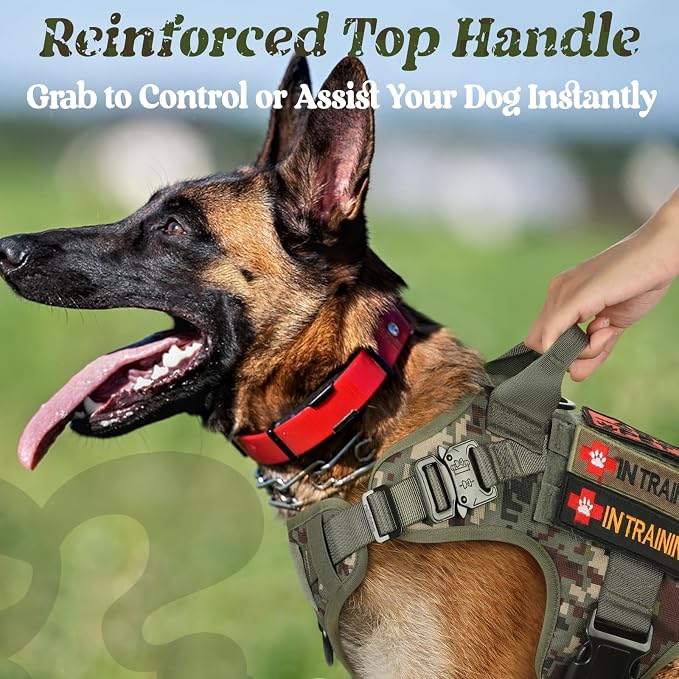 rabbitgoo Tactical Dog Harness for Medium, Heavy Duty Military No Pull Vest | Sturdy Metal Buckles, 5 Adjustments, Molle System, Powerful Pullers for Training, Hunting, Outdoor, Green Camo, Medium