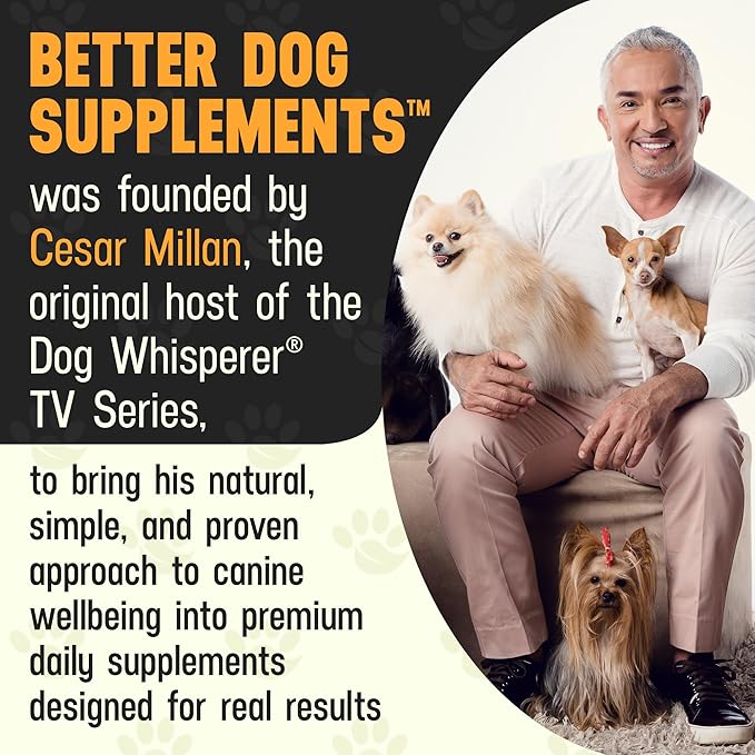 Better Dog Supplements Calm Confidence by Cesar Millan – Natural Cognitive & Brain Support for Dogs – Focus, Energy & Vitality with Ashwagandha, Panax Ginseng & Herbs – 4oz, (60-Day Supply)