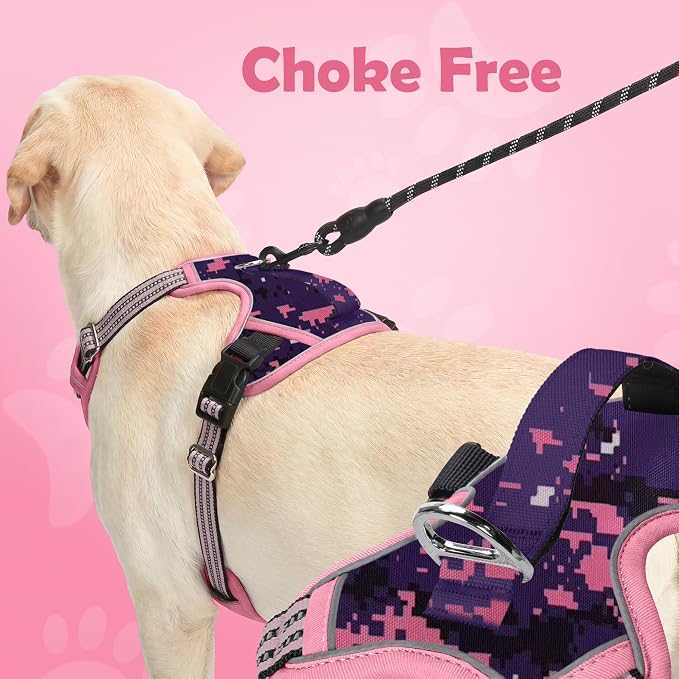 Dog Harness No Pull, Adjustable Pet Vest Harness, Super Soft Material with Vertical Handle Easy Control, Reflective Night Walking, 2 Leash Clips for Medium Sized Dogs, Mosaic Pink, M